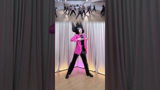 Stray Kids Do It Dance Side By Side Mirrored