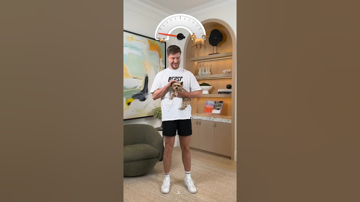Holding Bigger And Bigger Dogs @MrBeast #shorts