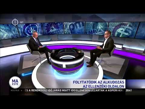 Videó: Mi Az Ellenzék és A Koalíció