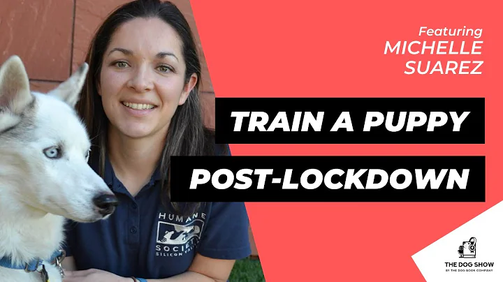 How to Train a Puppy for Post-Lockdown Life with M...