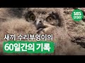 TV동물농장 - 510회