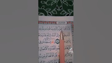 القرآن الكريم سورة الرعد بصوت ماهر المعيقلي 👍👍👍👍🌹🌹🌹❤❤💖💖💖❤❤❤❤