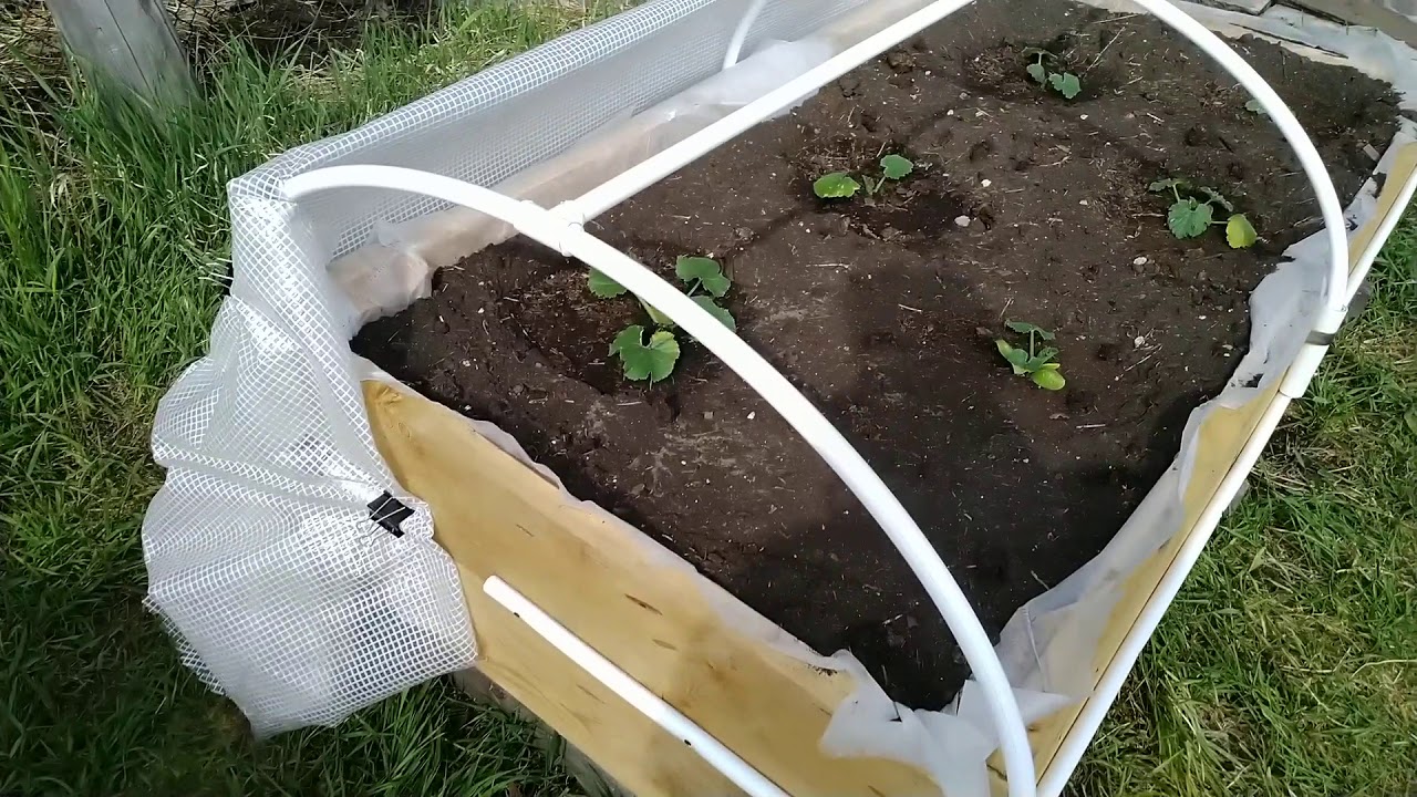 Мини парник из пластиковых труб своими руками самые лучшие проекты