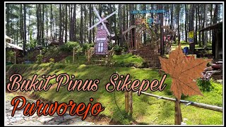 Wisata murah Purworejo #Bukit Pinus Sikepel screenshot 4