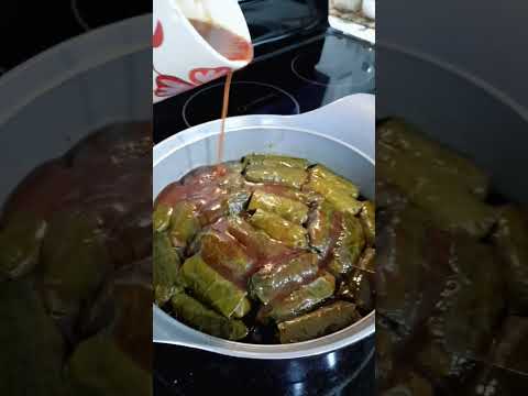 Warak Enab Arabic Food Stuffed Grape Leaves Asmr Shorts Shortsvideo Yummy