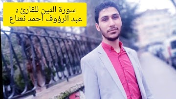 سورة التين للقارئ : ## عبد الرؤوف أحمد نعناع ## @ أداء  تحبير بتلاوة حفص عن عاصم