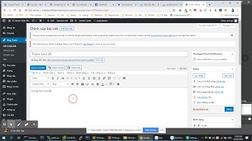 Cài đặt trình soạn thảo trong wordpress