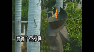 快樂嗯倆儕(女)-KTV0299