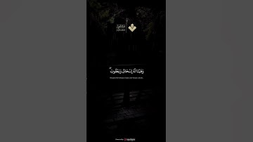 فلما اعتزلهم وما يعبدون من دون الله || الآية 49 من سورة مريم #المنشاوي #قرآن