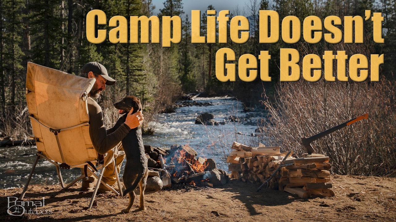 Идеальный день в лагере в лесу | Жизнь в фургоне с моей собакой