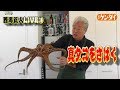 寿司屋も驚く！【西潟正人】簡単？活きタコのさばき方《前編》生タコ刺しは最高！Japanese octopus cooking,sashimi