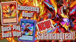 SALAMANGREATS Are BACK ON TOP! | Yu-Gi-Oh! Master Duel
