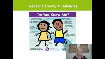 Understanding the Unique Sensory Needs of Autistic Children; Part 2/3 Exploring the Senses