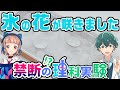 【禁断の実験】氷の花を咲かせましょう！？【自由研究】#Vtuber #科学実験 #自由研究