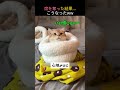 席を奪った結果...こうなったww