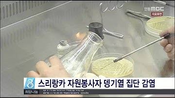 [안동MBC뉴스]스리랑카 자원봉사자 8명 뎅기열 감염