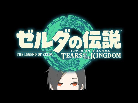 【ゼルダの伝説 ティアーズ オブ ザ キングダム】なんかする　※ネタバレ注意　【Licohz】