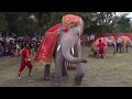 ดูช้างเต้น โชว์ช้างอยุธยาแลเพนียต - Elephant Dance in Thailand Ayutthaya
