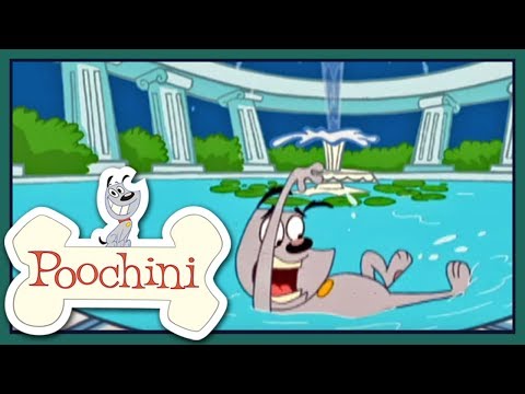 Poochini - Episode 1 - Abandoned