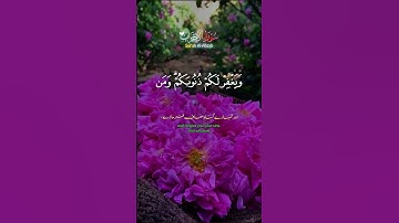 سورة الأحزاب #القرآن_الكريم #اكسبلور #ترند