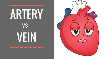 Which veins carry oxygen-rich blood?