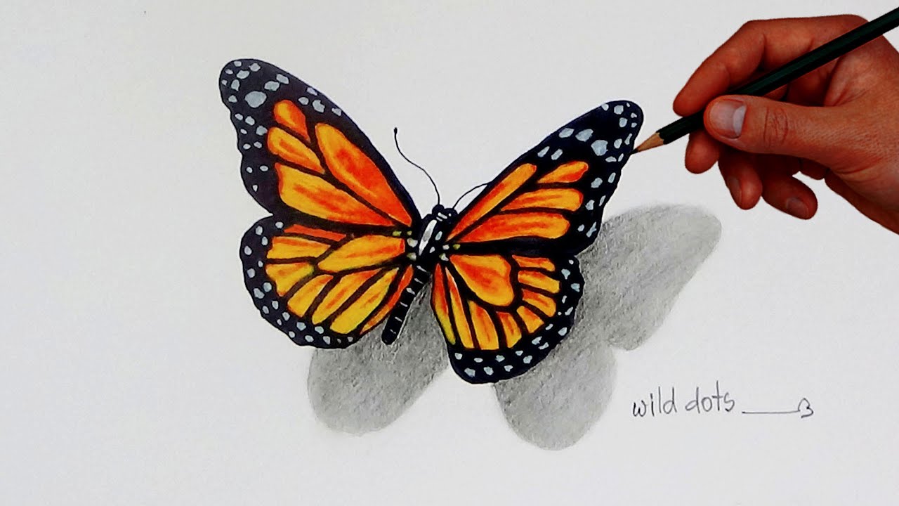 How To Draw A Butterfly | Simple And Easy Steps | - YouTube