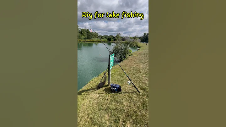 The BEST Catfish RIGS For Lake Fishing!!#shorts #fishing