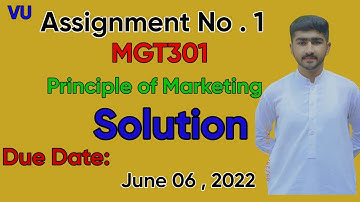MGT301 Assignment 1 Solution 2022 | MGT301 100% Correct | Principle of Marketing by Usama Rajput