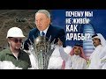 КОГДА В СТРАНЕ ЗАКОНЧИТСЯ НЕФТЬ И ОТКУДА У НАС ДОРОГОЙ БЕНЗИН?