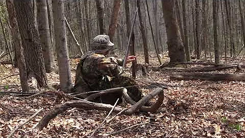 Thick Bearded VA Gobbler - My First Out Of State H...