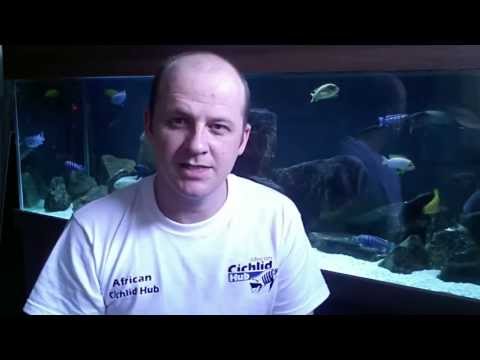 How To calculate Aquarium Volume - TOTW #7