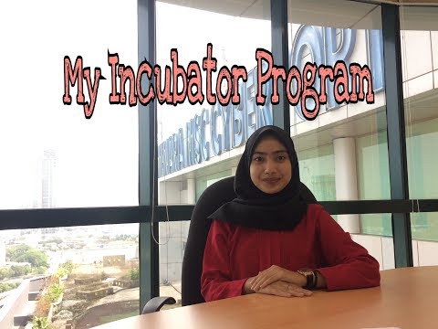 My Incubator Program (151222283) #bit291video - MSC Cyberport Sdn Bhd 2017