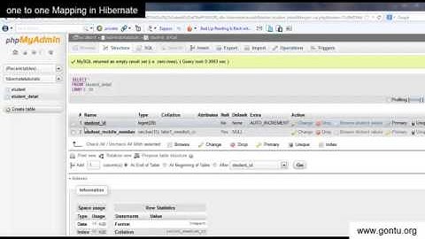 Hibernate Tutorial part 8   One to One Mapping using Annotations