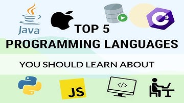 Top 5 Programming Languages to Learn in 2020