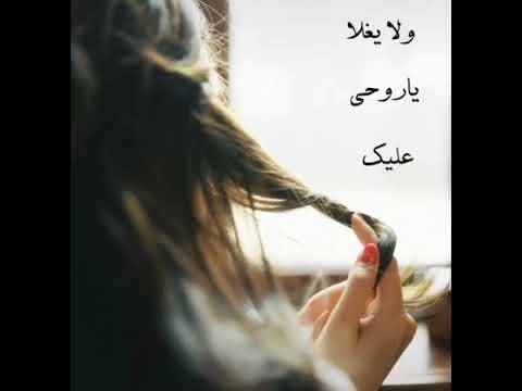 هاني شاكر يا كل العمر