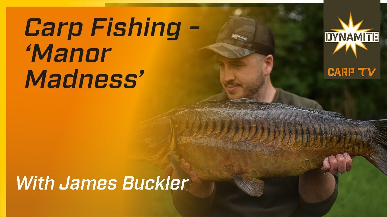 Carp Fishing - Manor Madness at Linear Fisheries - YouTube