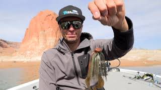 The best knot to tie with fluorocarbon