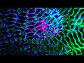 Neon Flow 🎨 | 4-Hour Ambient Loop | Mesmerizing Visual Loop | Calm Veritas