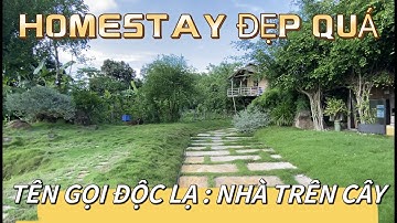 HOMESTAY ĐẸP QUÁ VỚI TÊN GỌI ĐỘC LẠ NHÀ TRÊN CÂY XÃ ĐÁ BẠC HUYỆN CHÂU ĐỨC TỈNH BRVT ( ĐÃ BÁN )