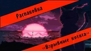 Взрывные котята - Распаковка настольной игры Взрывные котята - Распаковка настольной игры