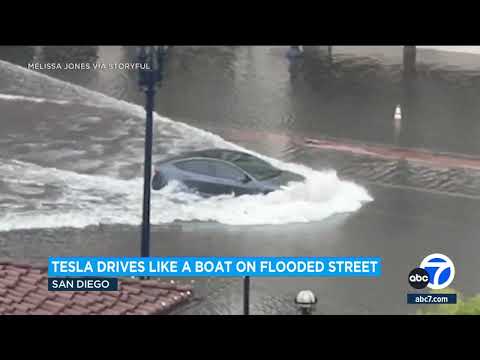 Video: San Diego rannaranniku päevareisiideid peredele