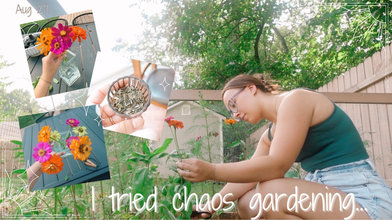 I tried chaos gardening...