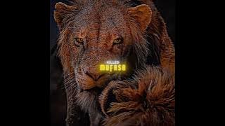 💖 Scar told Simba the truth. #movie #film #shorts