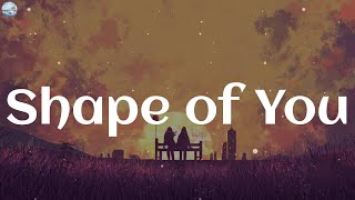 Ed Sheeran - Shape of You (Lyrics)