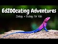 Educating Adventures Quiz