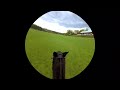 On Horseback in VR (Captured with Spectacles 3)