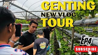 Ep4/ Petik Strawberi Di Genting / Plan Last Minit !! | malaysia vlog