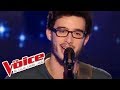 Leonard cohen  hallelujah  alexandre carcelen  the voice france 2016  blind audition