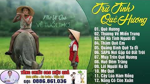 Bài hát quê hương ai nghe cũng nhớ nhà - Nhạc trữ tình quê hương chọn lọc nghe 1 lần nhớ cả đời