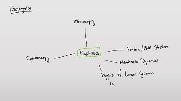 All of Biophysics in A Nutshell